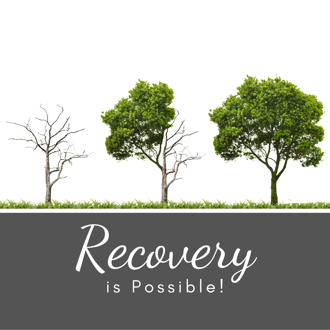 Recovery is possible! (Image of trees regrowing leaves.)